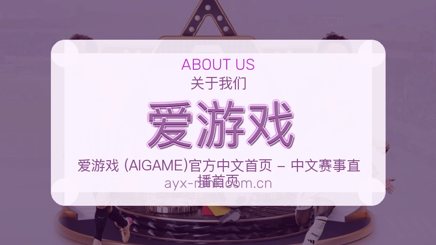 爱游戏 关于我们图片